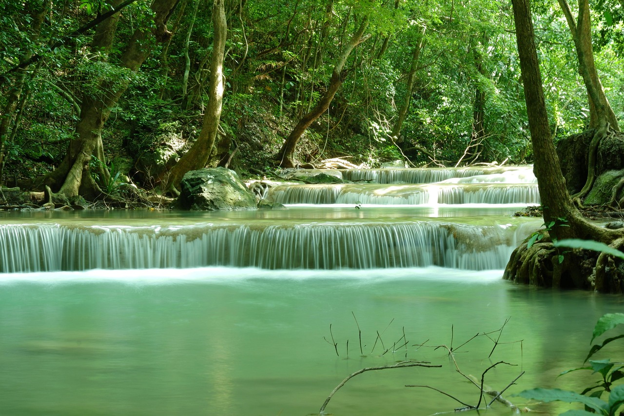 🌿 A New Chapter of Care for Local Families