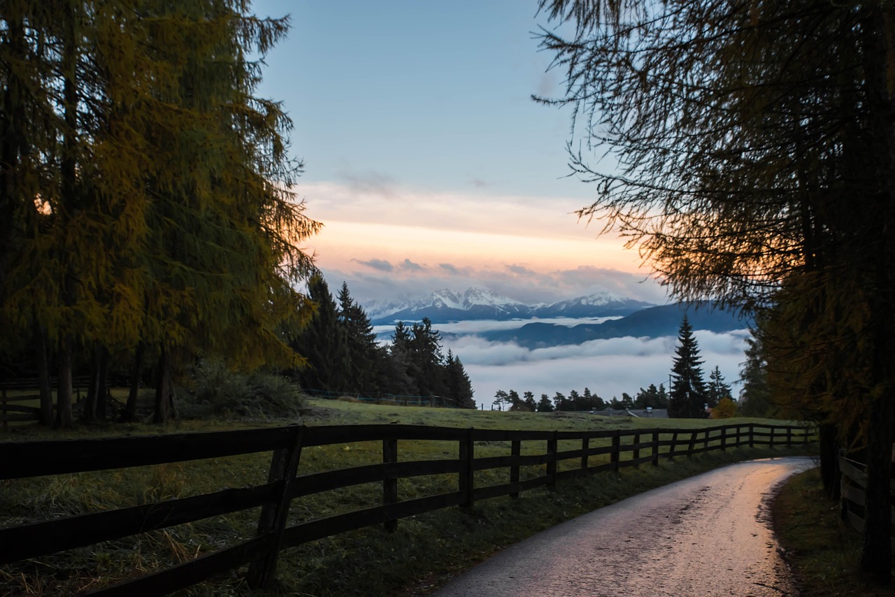 Infinity Pet Crematorium Collection & Return Mileage Pricing - Image Of Winding Road Country Lane by Felix Merler from Pixabay