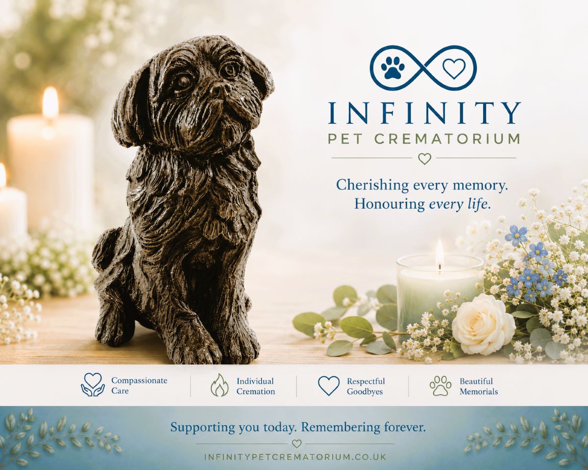 ShihTzu Figurine Urn Black Resin Finish Infinity Pet Crematorium