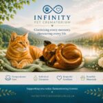 Sleeping Cat Urn Brown & Black Wood Effect Finish Infinity Pet Crematorium