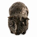Guinea Pig Figurine Urn Black Resin Finish