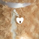 Pet Ashes Keepsake Memory Bear