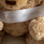 Pet Ashes Keepsake Memory Bear