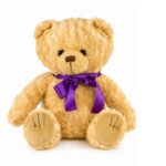 Pet Ashes Keepsake Memory Bear