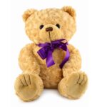 Pet Ashes Keepsake Memory Bear