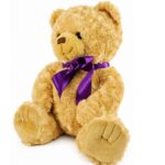 Pet Ashes Keepsake Memory Bear