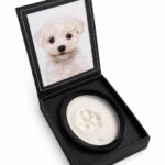 Pet Remembrance Paw Print With Photo Leather Effect Finish