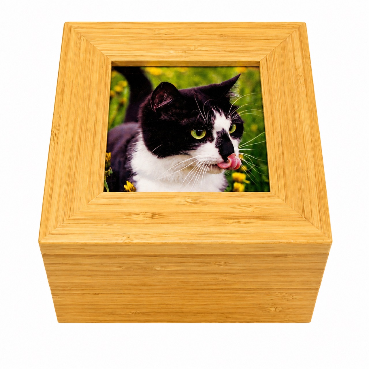 Pet Tribute Ashes Casket With Photo Natural Wood Effect Finish
