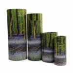 Bluebell Scatter Tubes