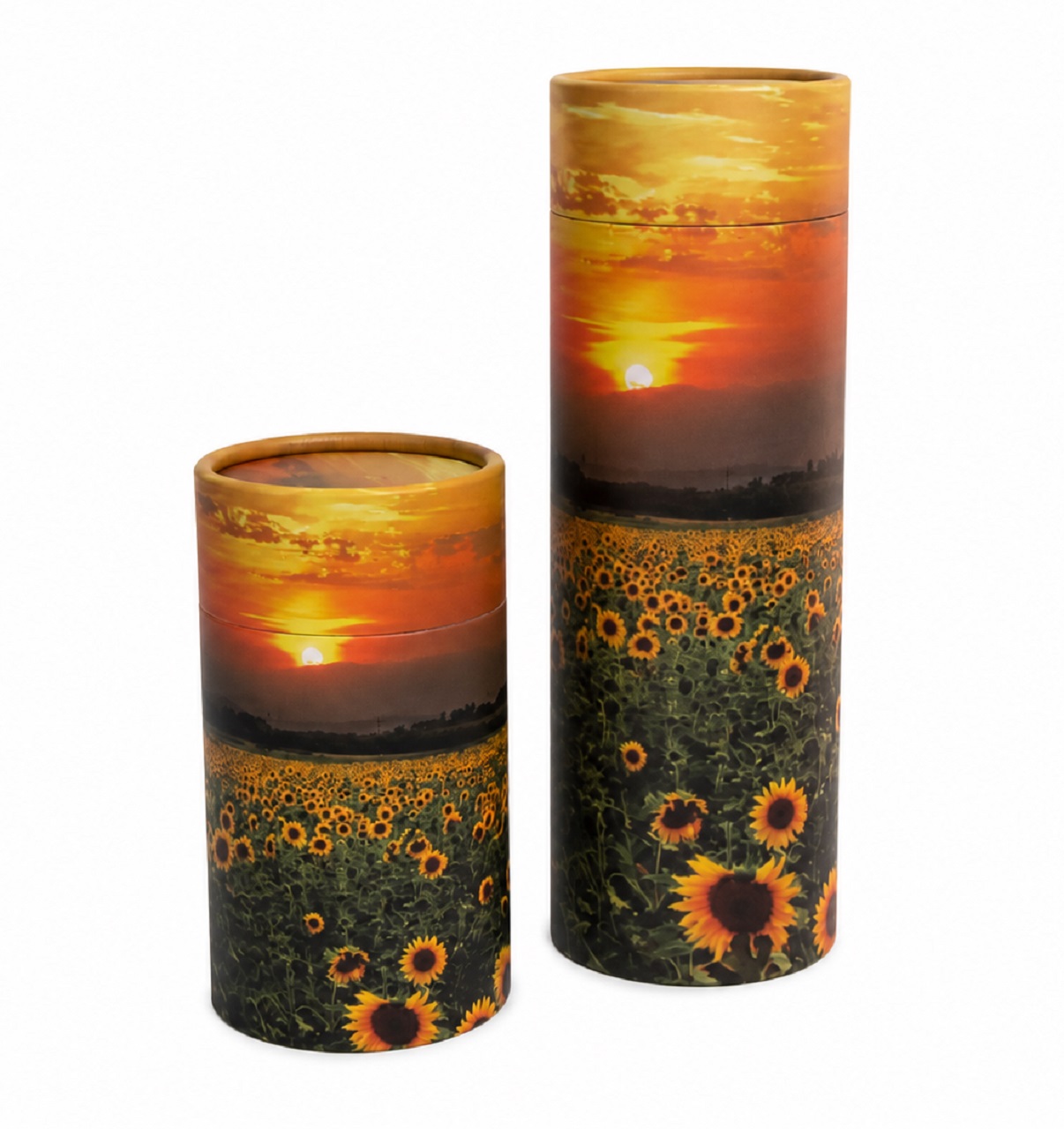 Sunflowers Scatter Tubes