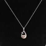 Pet Memorial Jewellery Ashes