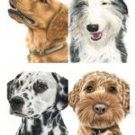 Pet Memorial Portrait Infinity Pet Crematorium