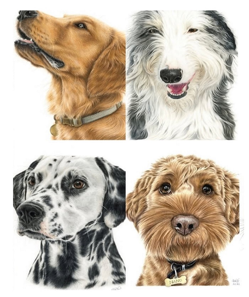 Pet Memorial Portrait Infinity Pet Crematorium