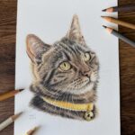 Pet Portrait