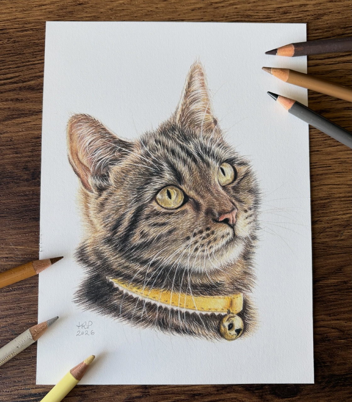 Pet Portrait