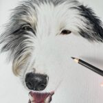 Pet Portrait