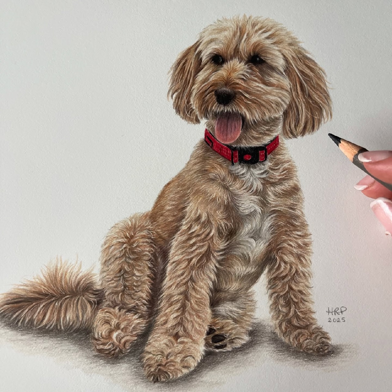 Pet Portrait